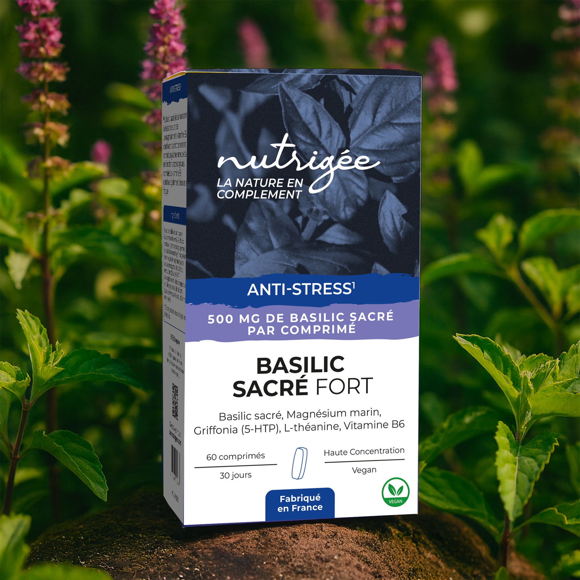Capsules De Basilic Sacré Morsan Nutraveda (Tulsi) – Pack De 4 X 60 Gélules – Naturel