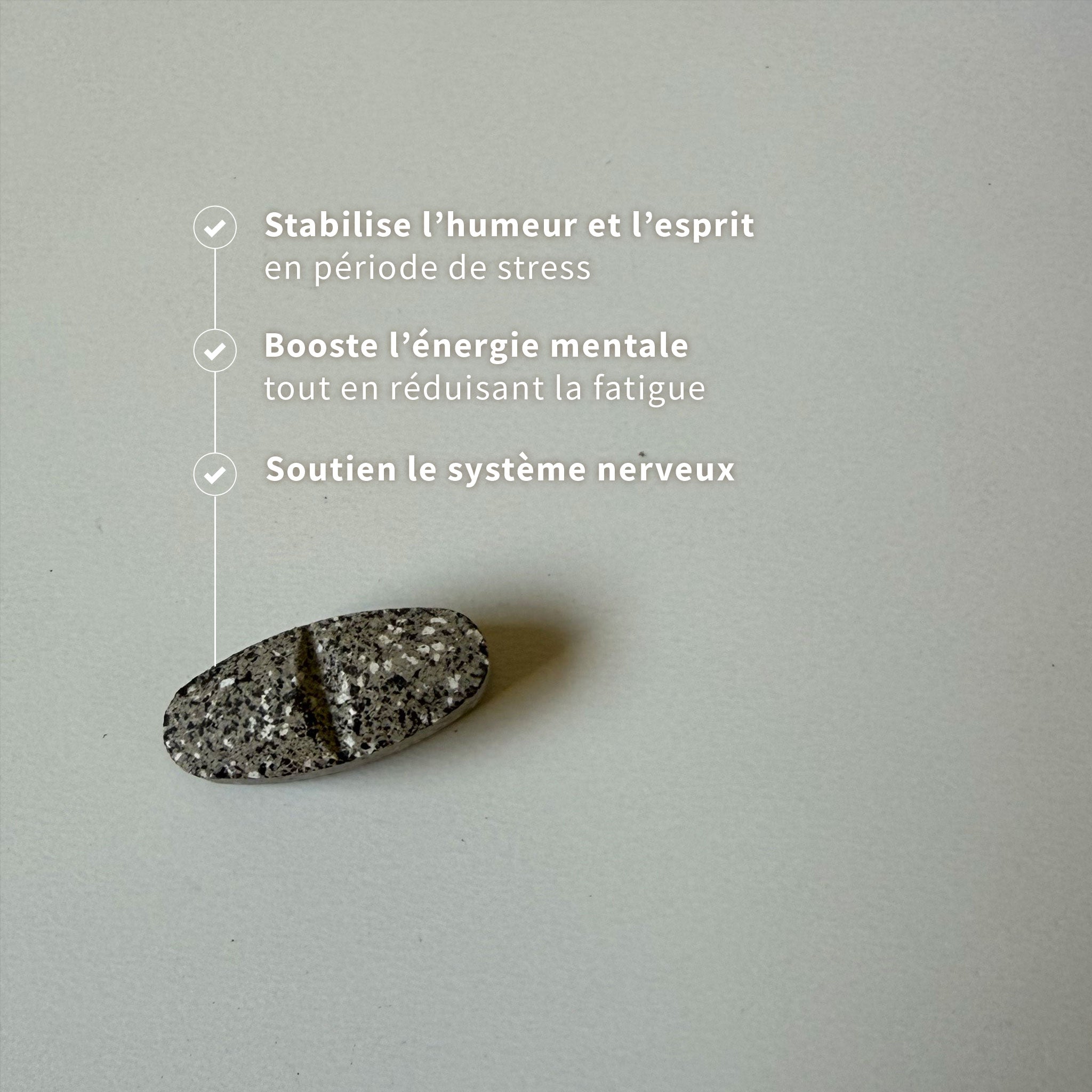 Basilic Sacré Fort (60) Anti-stress