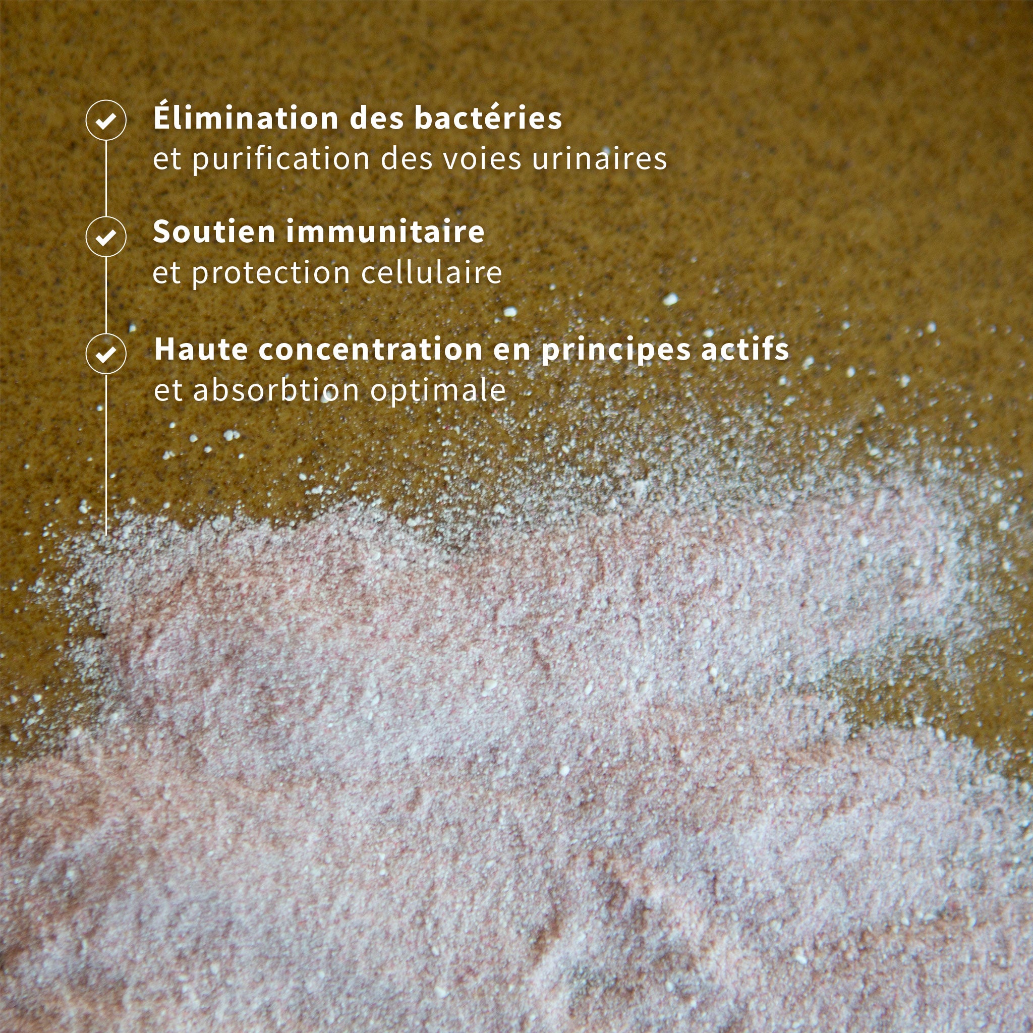 Cysti‑FORT D‑Mannose