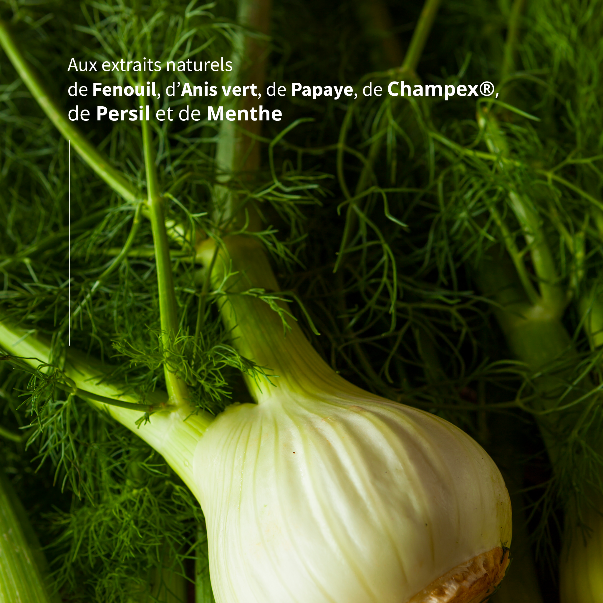 DIGEST Haleine - Digestion & haleine fraîche