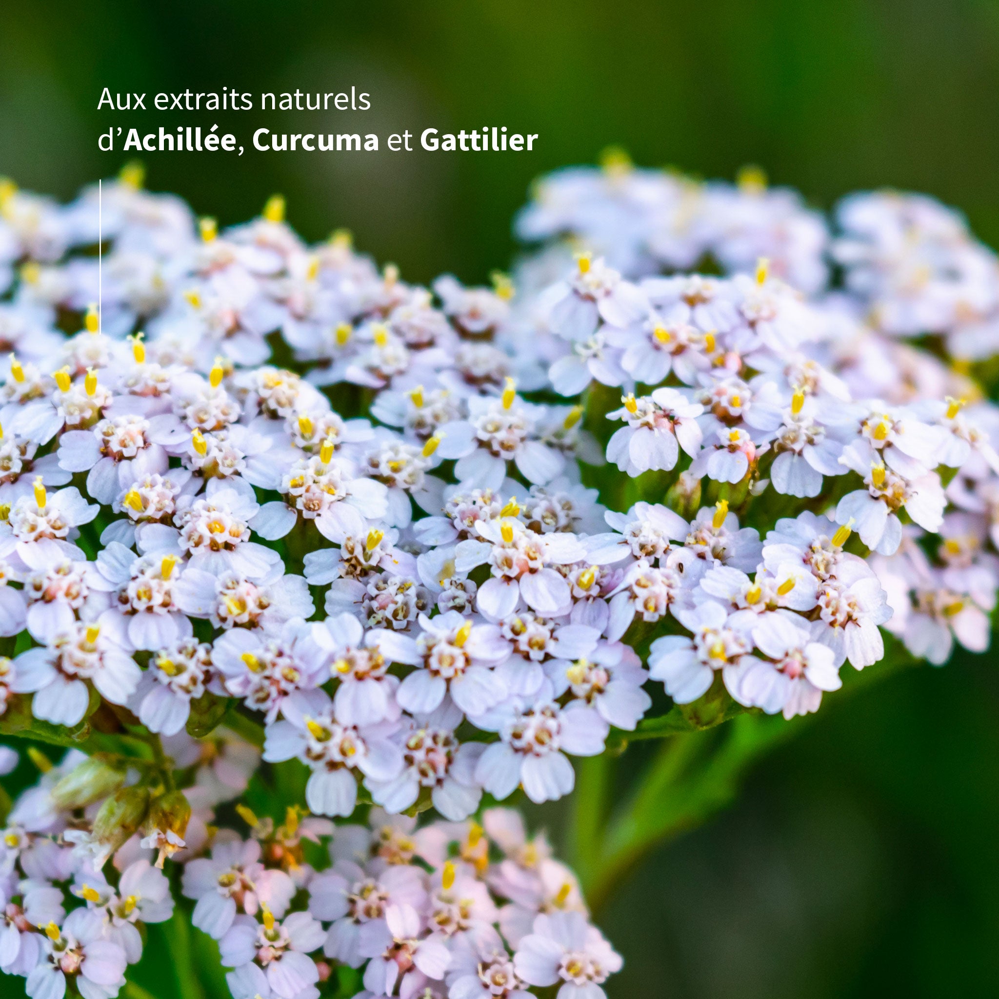 Gyneconfort – Règles douloureuses