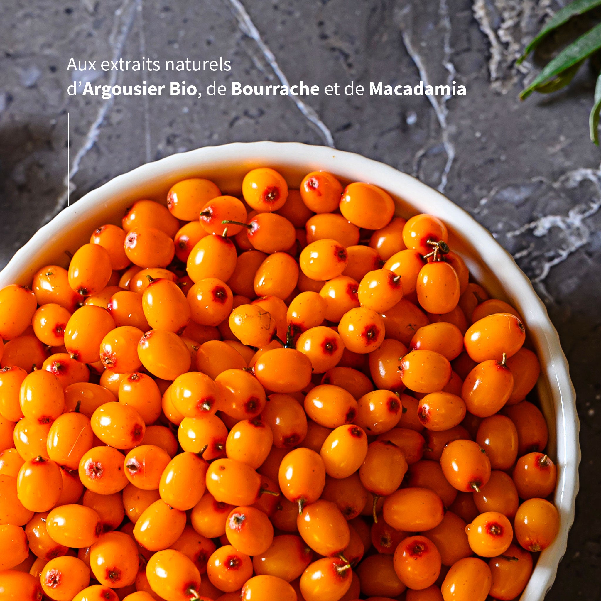 Hydra‑FORT Bio – Oméga 7 & 6 pour Peau & Muqueuses