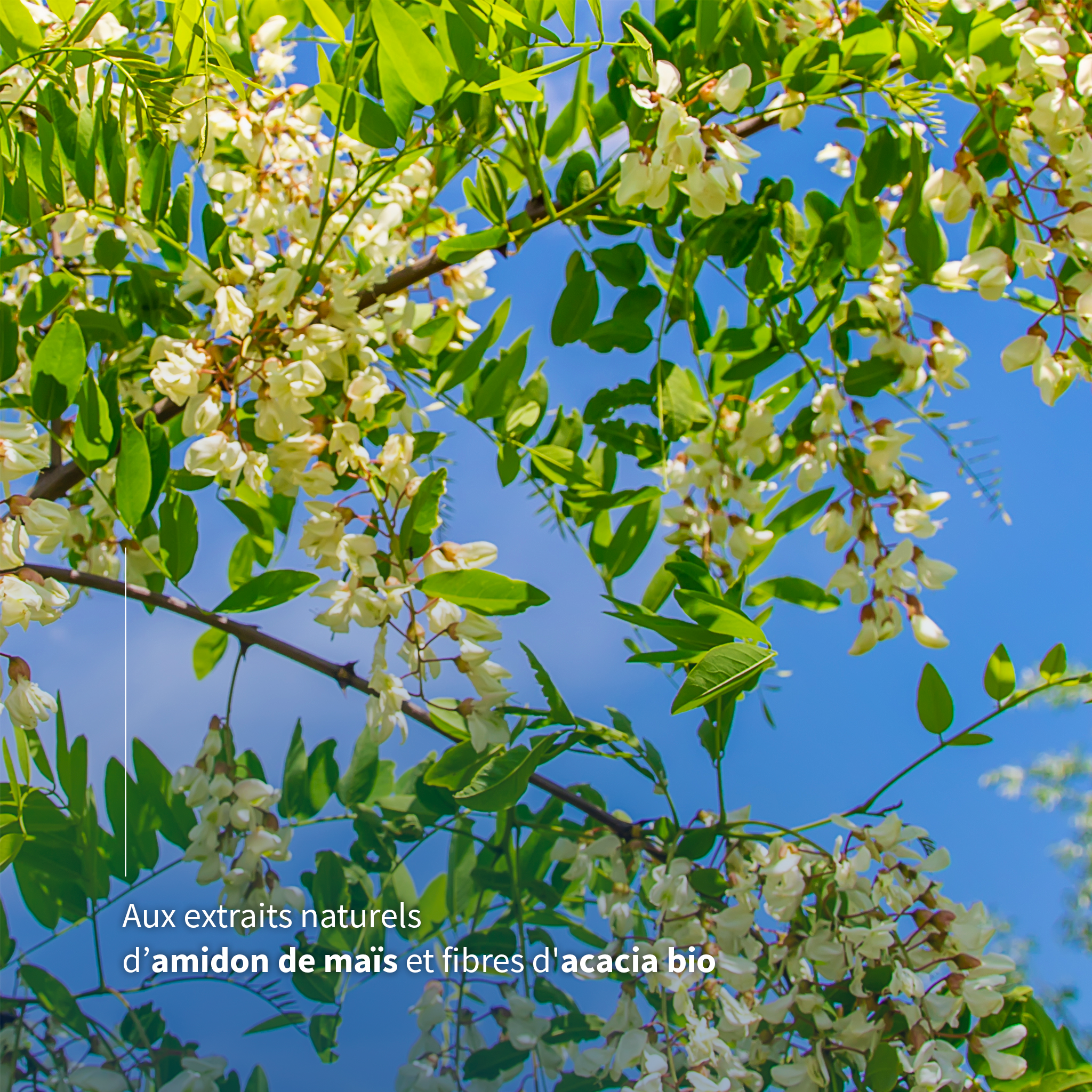 Microbiote FORT SENIOR 50+