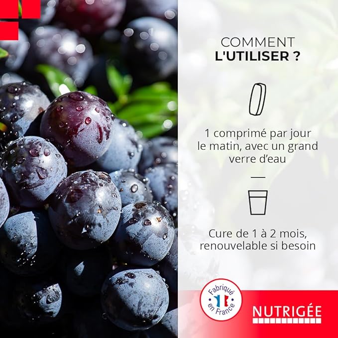 Anti-Oxydant Fort – Protection Cellulaire & Stress Oxydatif