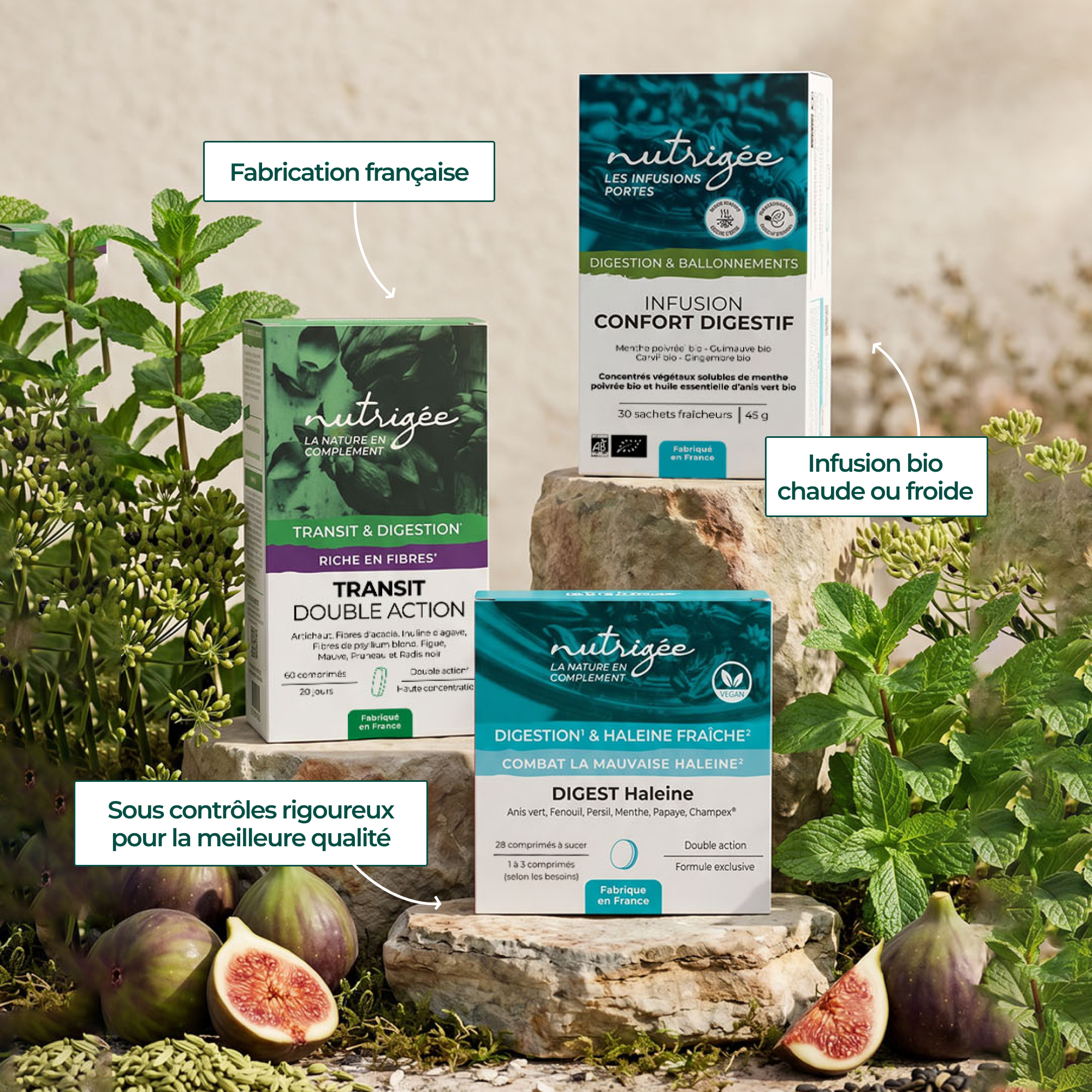 Programme Confort Digestif - digestion, transit & haleine fraîche