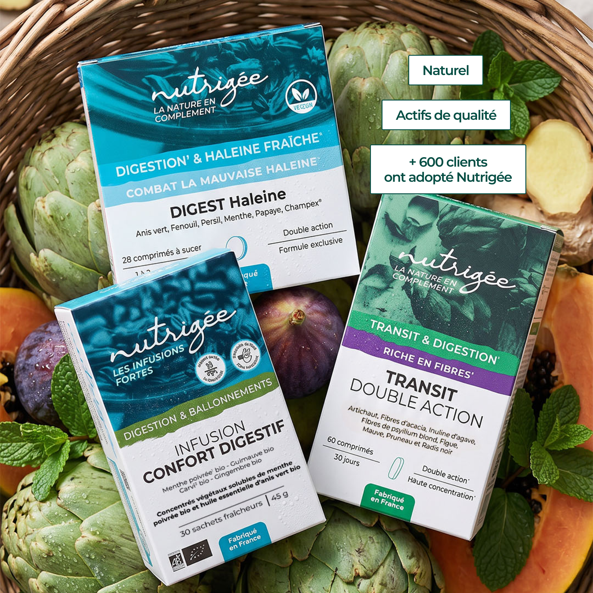 Programme Confort Digestif - digestion, transit & haleine fraîche